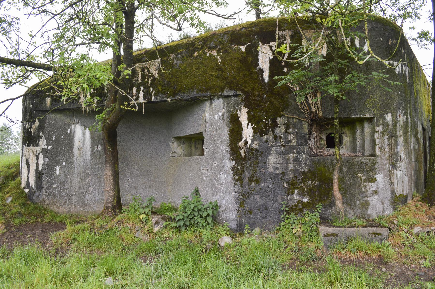 Ligne Maginot - B536 - LA TOURNICHETTE - (Blockhaus pour canon) -  - ukmaginot