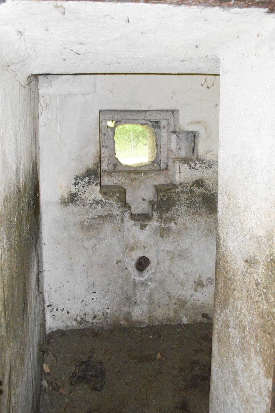 Ligne Maginot - B536 - LA TOURNICHETTE - (Blockhaus pour canon) - Créneau de défense de l'entrée - ukmaginot