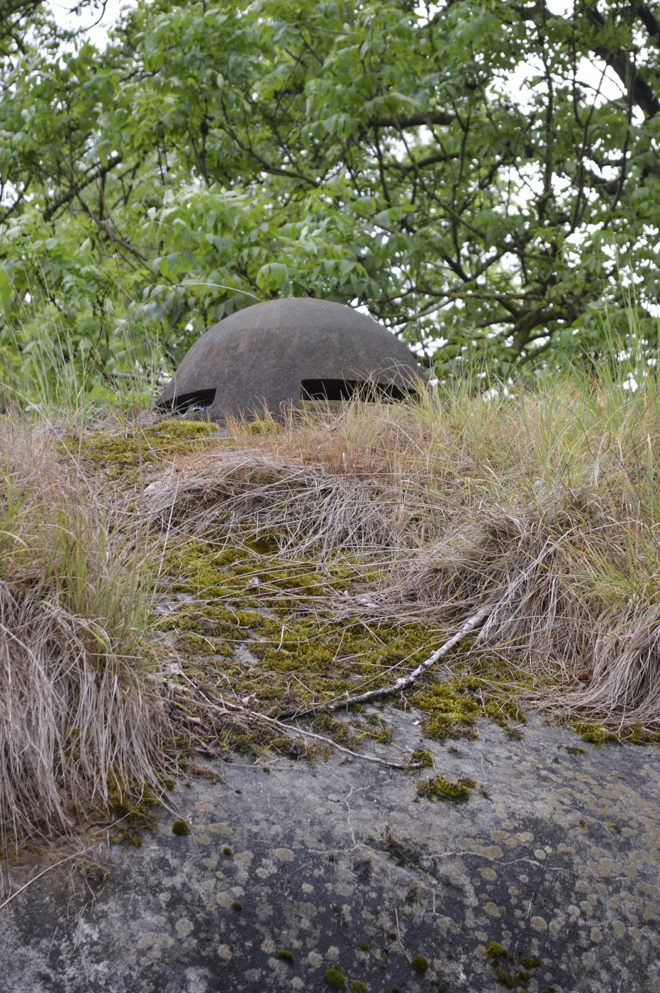 Ligne Maginot - B536 - LA TOURNICHETTE - (Blockhaus pour canon) - La cloche type Valenciennes - ukmaginot