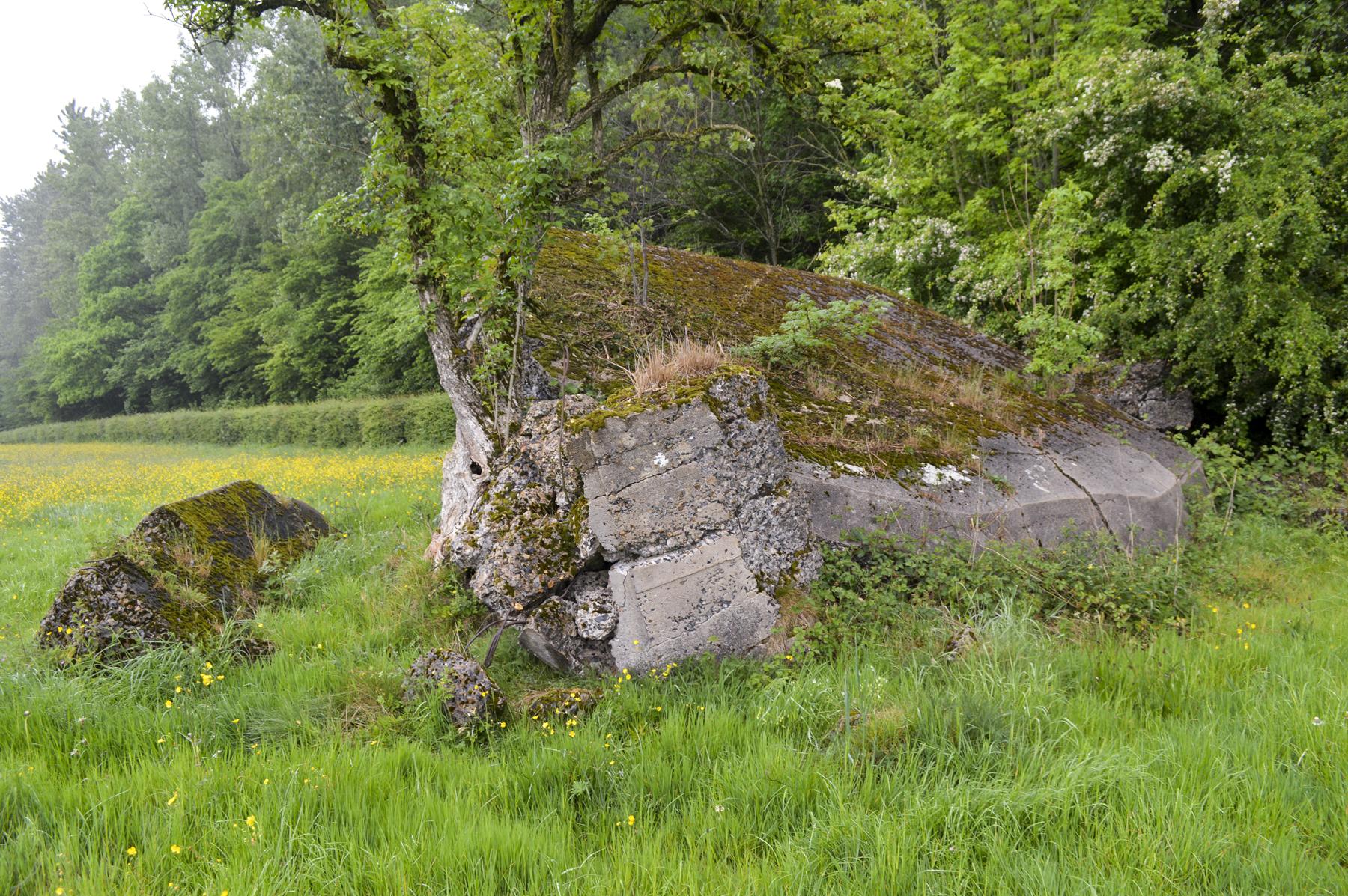 Ligne Maginot - B598 - CORON D'AMOUR - (Blockhaus pour canon) -  - ukmaginot