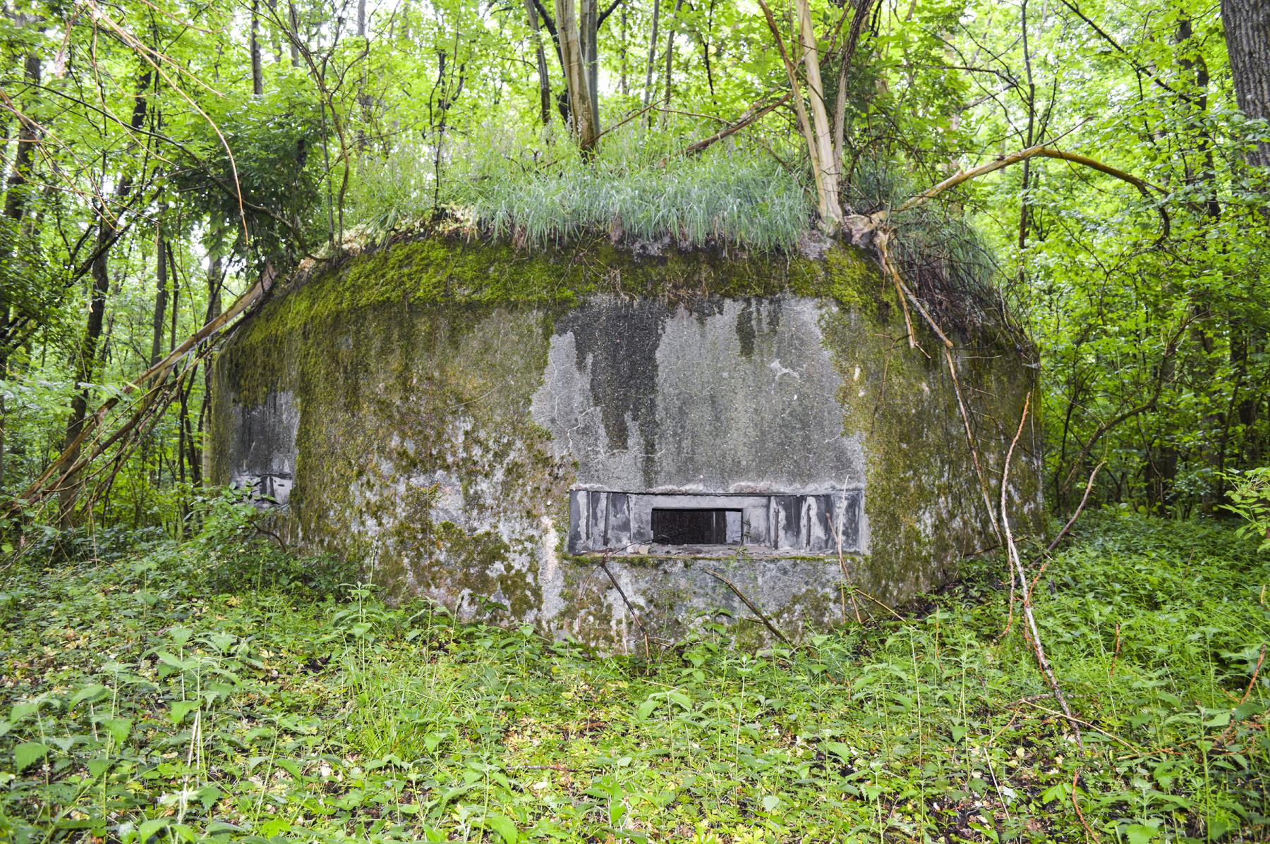 Ligne Maginot - B599 - BOIS DES ECOLIERS OUEST - (Blockhaus pour canon) -  - ukmaginot