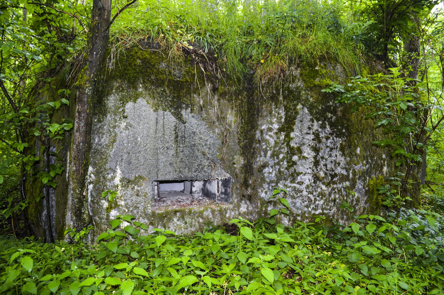 Ligne Maginot - B599 - BOIS DES ECOLIERS OUEST - (Blockhaus pour canon) -  - ukmaginot