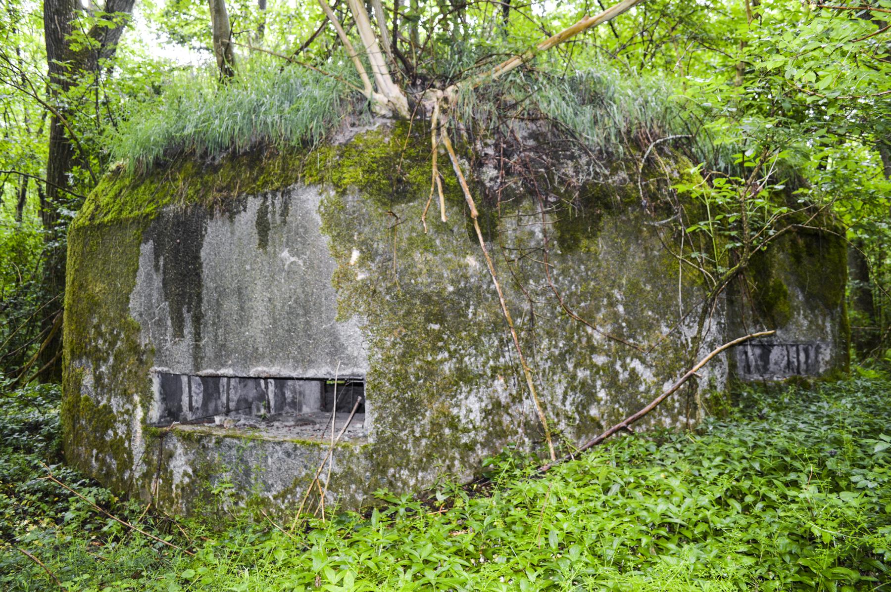 Ligne Maginot - B599 - BOIS DES ECOLIERS OUEST - (Blockhaus pour canon) -  - ukmaginot