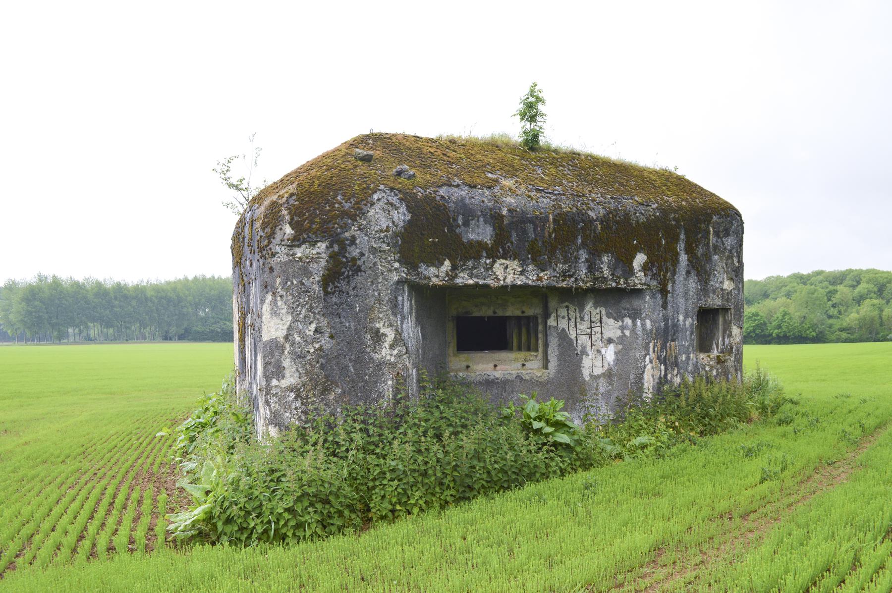 Ligne Maginot - B600 - BOIS DES ECOLIERS EST - (Blockhaus pour canon) -  - ukmaginot