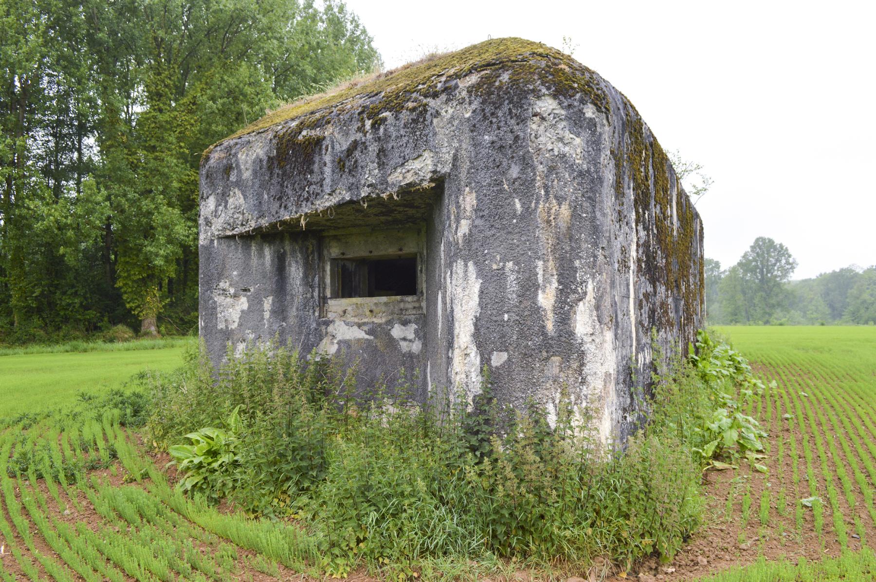Ligne Maginot - B600 - BOIS DES ECOLIERS EST - (Blockhaus pour canon) -  - ukmaginot
