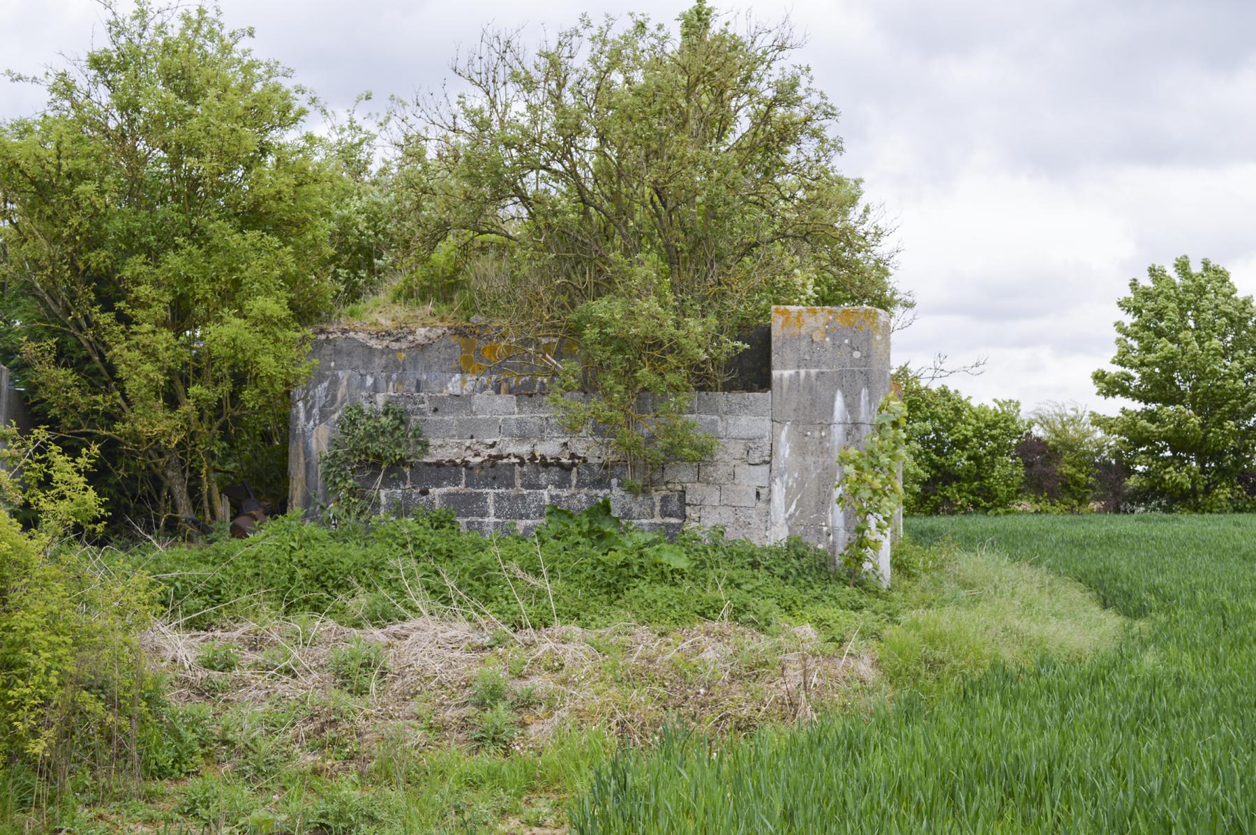 Ligne Maginot - BEF 202 - BABERMONT SUD - (Blockhaus pour arme infanterie) -  - ukmaginot