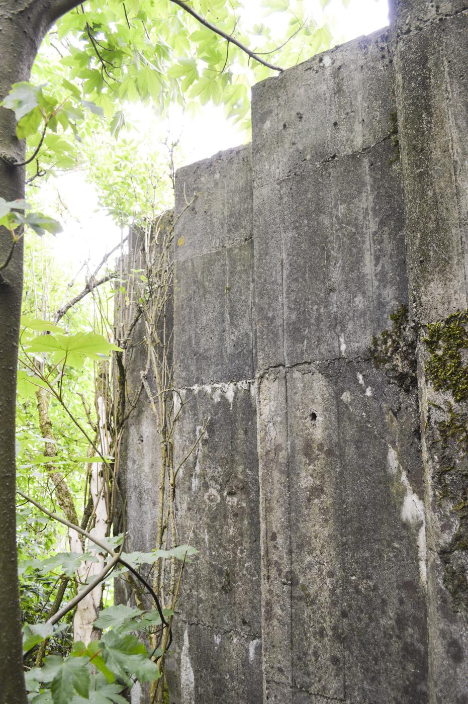 Ligne Maginot - BEF 202 - BABERMONT SUD - (Blockhaus pour arme infanterie) -  - ukmaginot