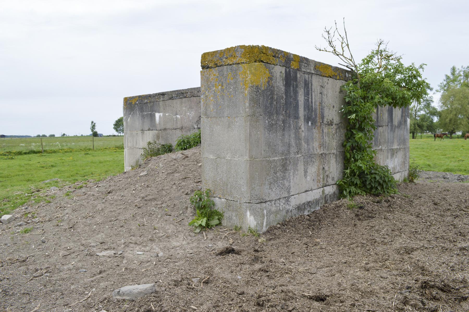 Ligne Maginot - BEF 341 - BLONDE RUE NORD - (Blockhaus pour arme infanterie) -  - ukmaginot