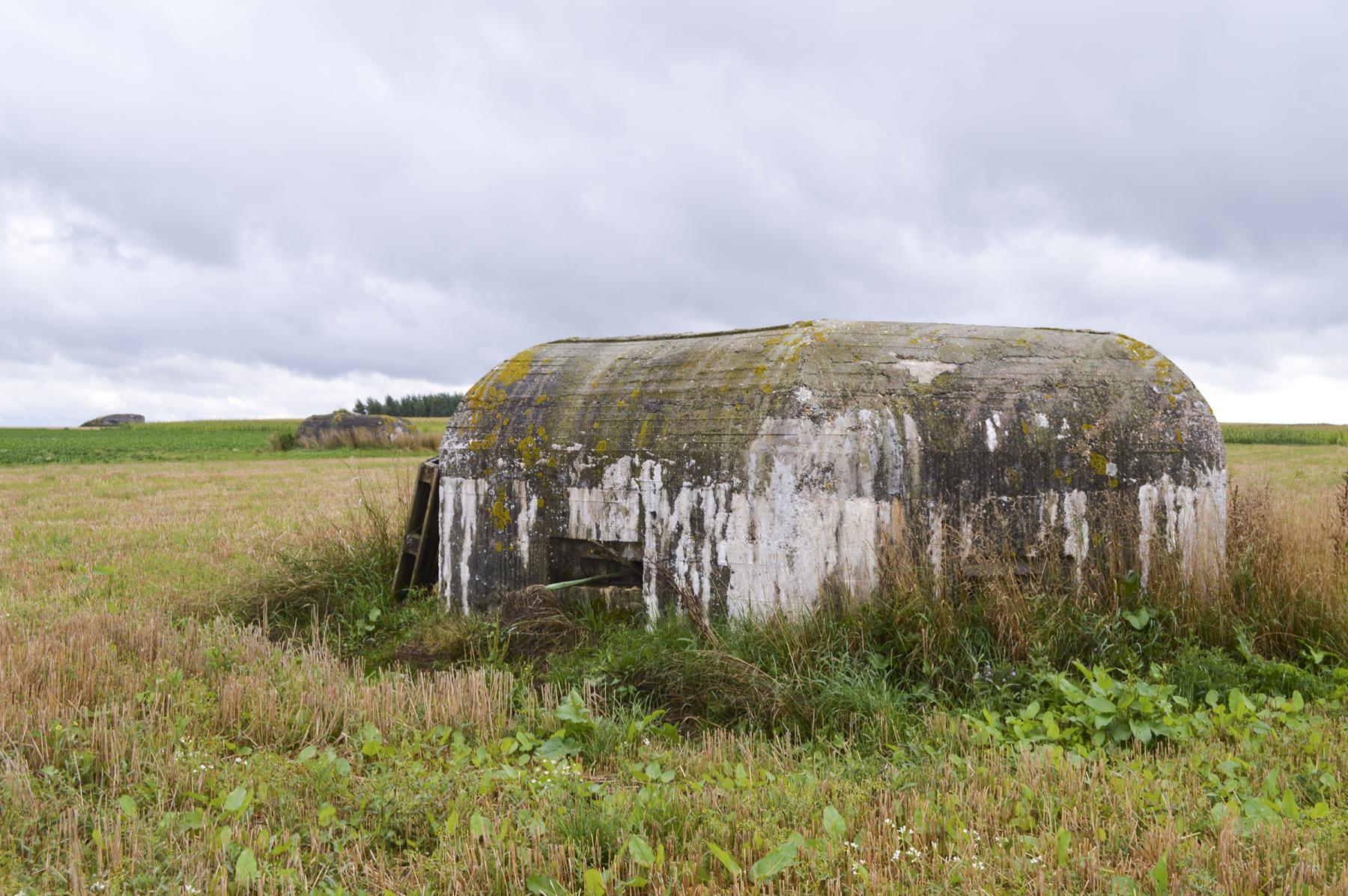 Ligne Maginot - BEF 353 - BAS DU CHEMIN DE CAMPHIN 1 - (Blockhaus pour arme infanterie) -  - ukmaginot