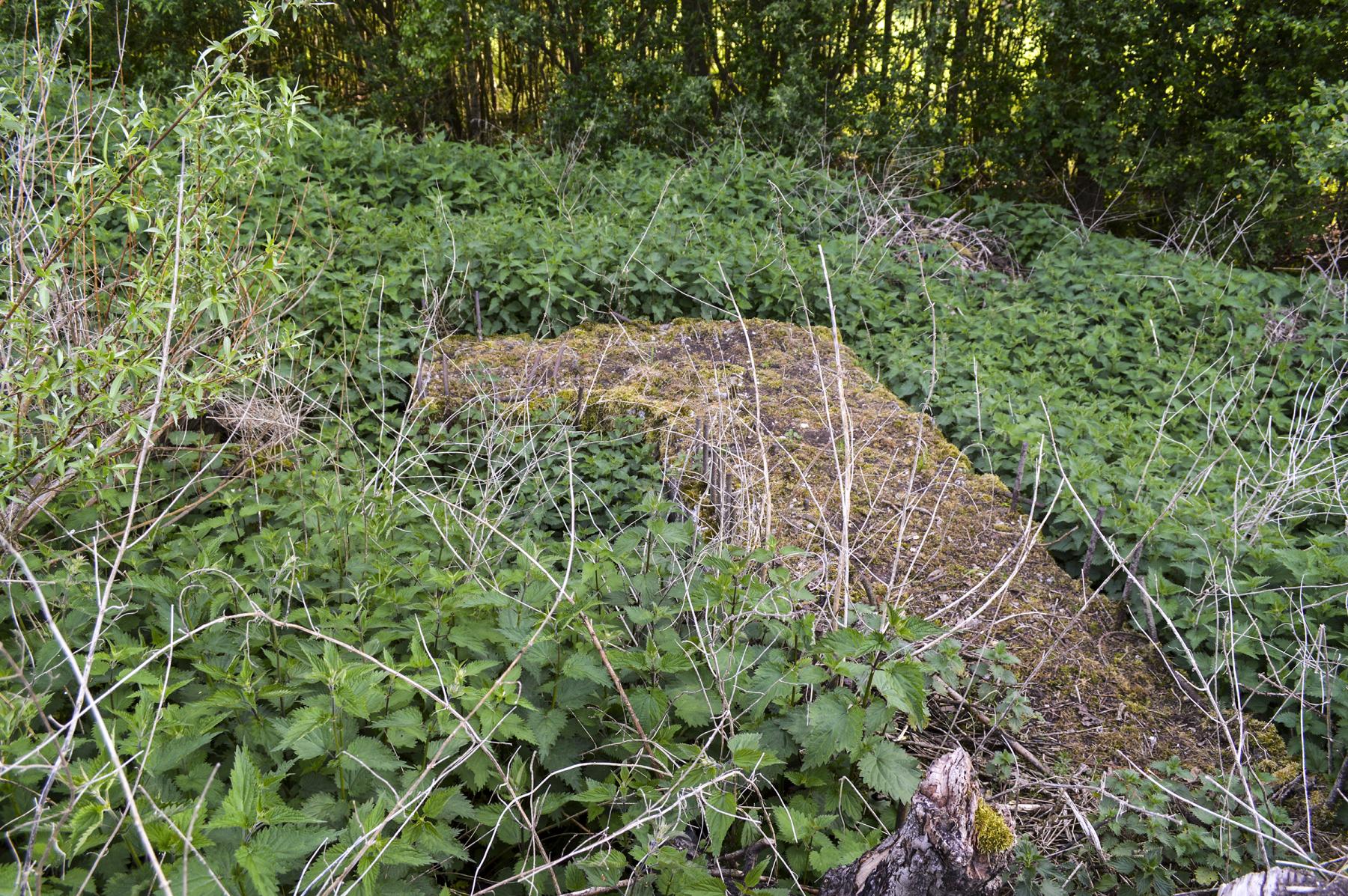 Ligne Maginot - BEF 367 - BOIS NOTRE-DAME - (Blockhaus pour canon) -  - ukmaginot