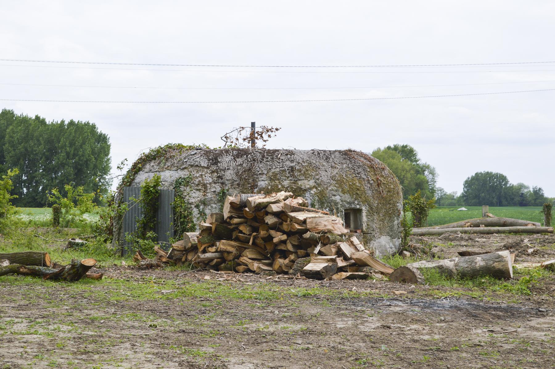 Ligne Maginot - BEF 385 - BOIS DE BERCU - (Blockhaus pour arme infanterie) -  - ukmaginot