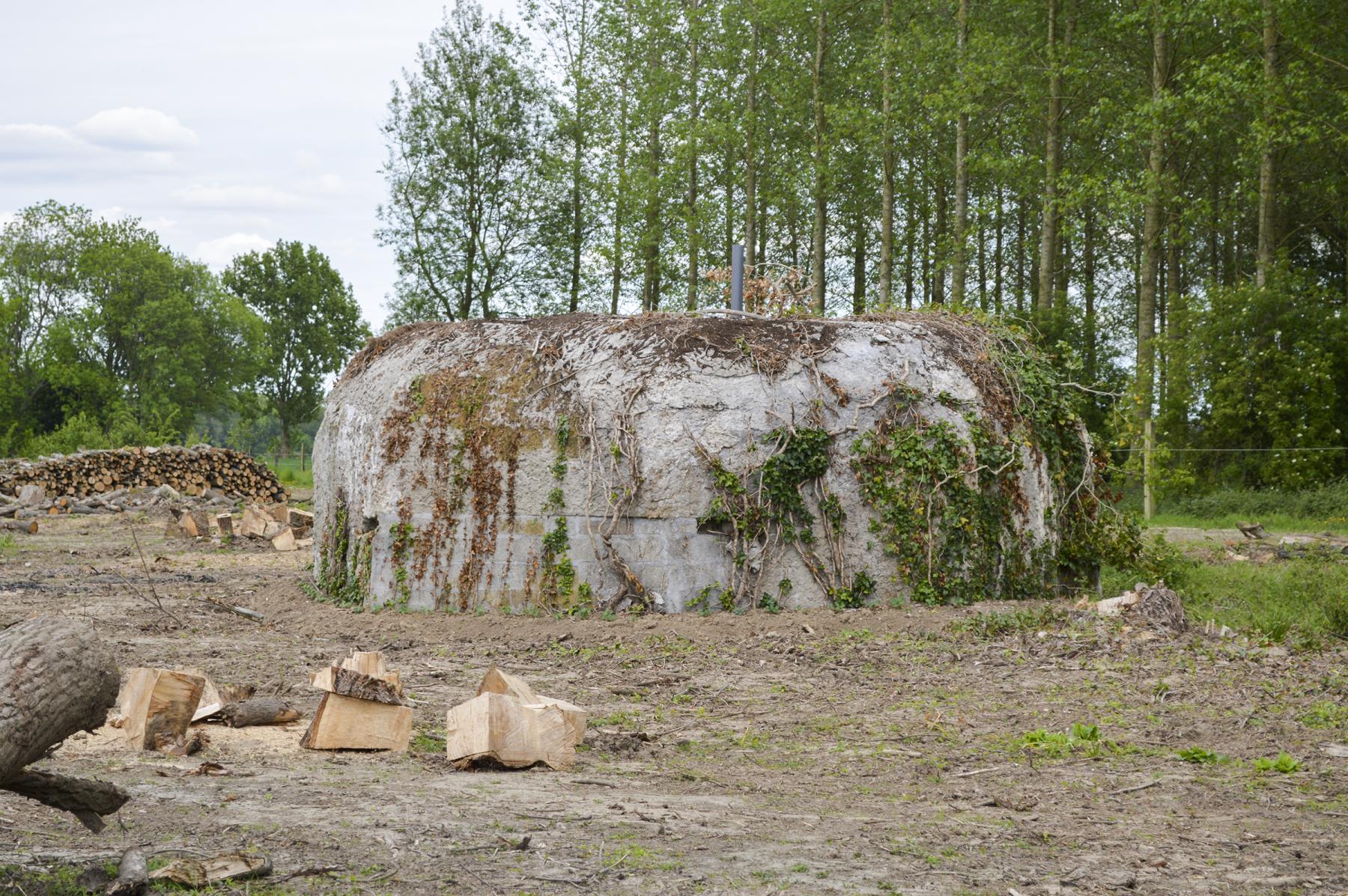 Ligne Maginot - BEF 385 - BOIS DE BERCU - (Blockhaus pour arme infanterie) -  - ukmaginot