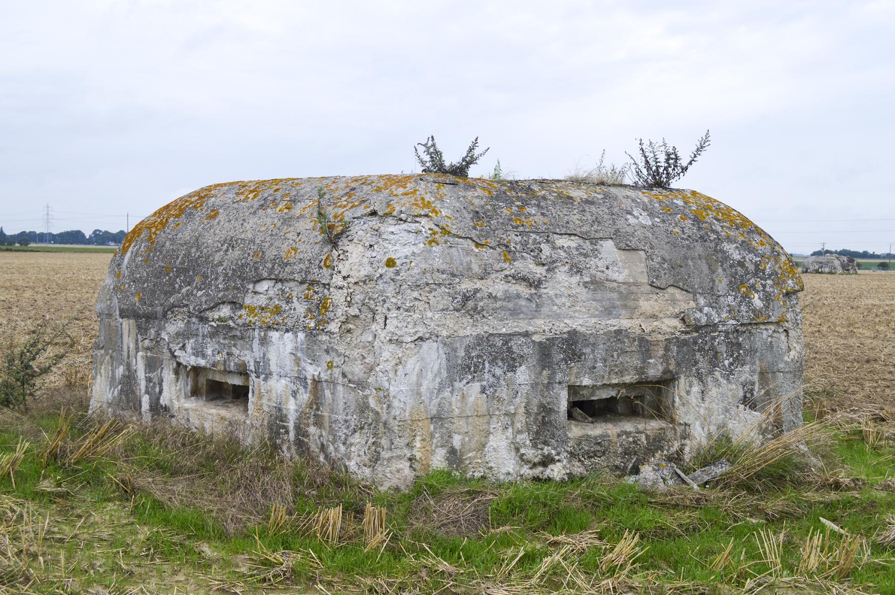 Ligne Maginot - BEF 320 - CHAPELLE AUX ARBRES 2 - (Blockhaus pour arme infanterie) -  - ukmaginot