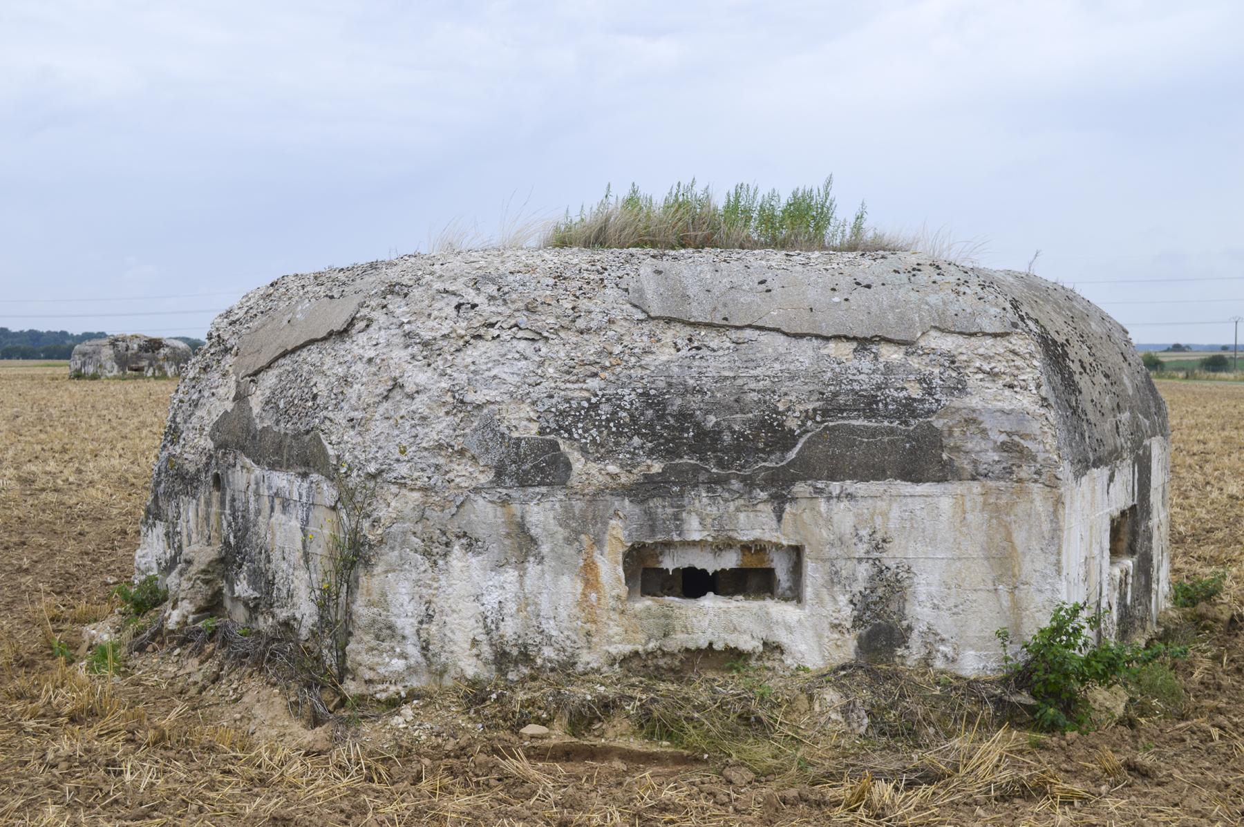 Ligne Maginot - BEF 321 - CHAPELLE aux ARBRES 4 (Blockhaus pour arme infanterie) -  - ukmaginot