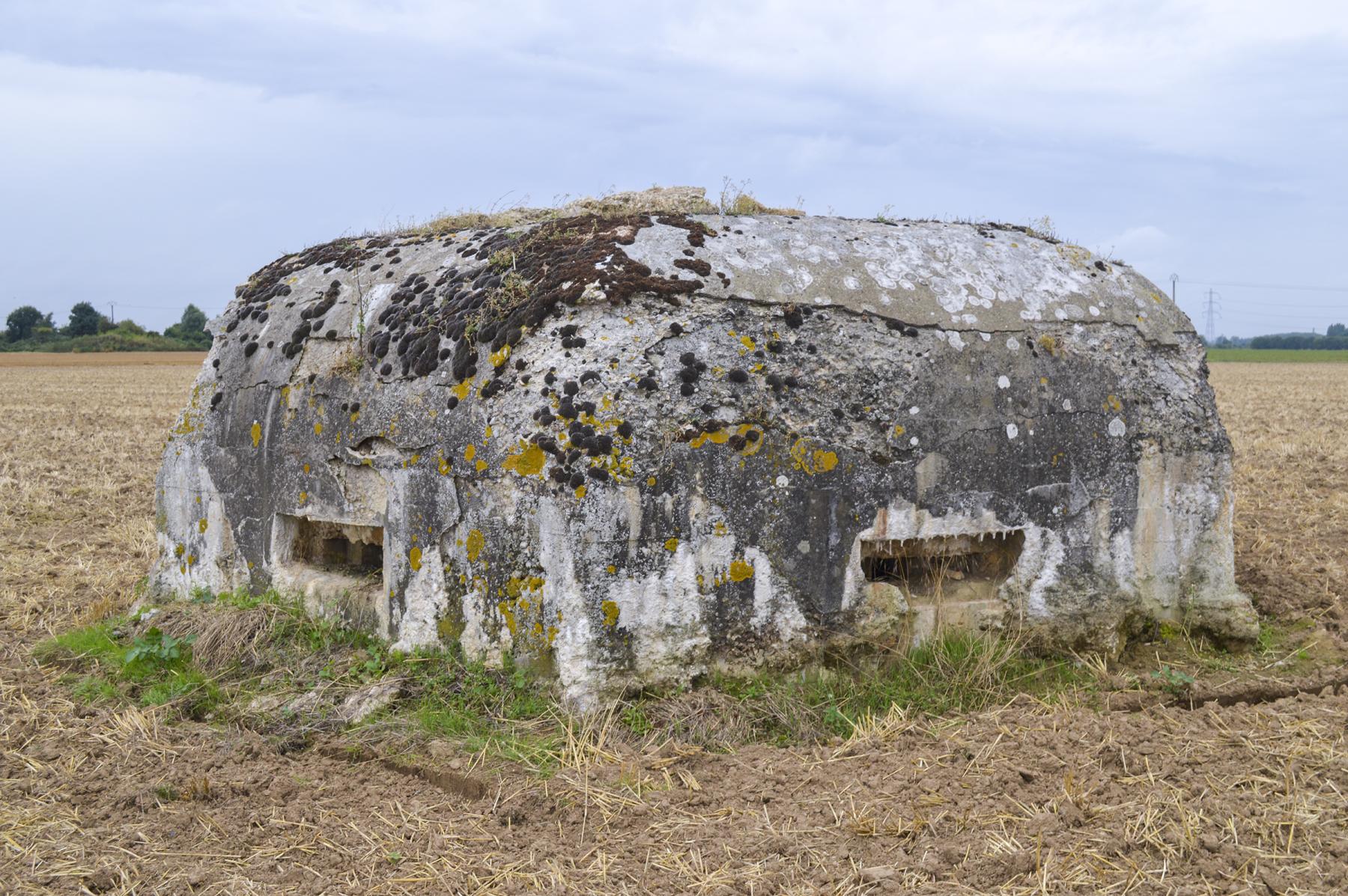 Ligne Maginot - BEF 663 - CHAPELLE AUX ARBRES 3 - (Blockhaus pour arme infanterie) -  - ukmaginot