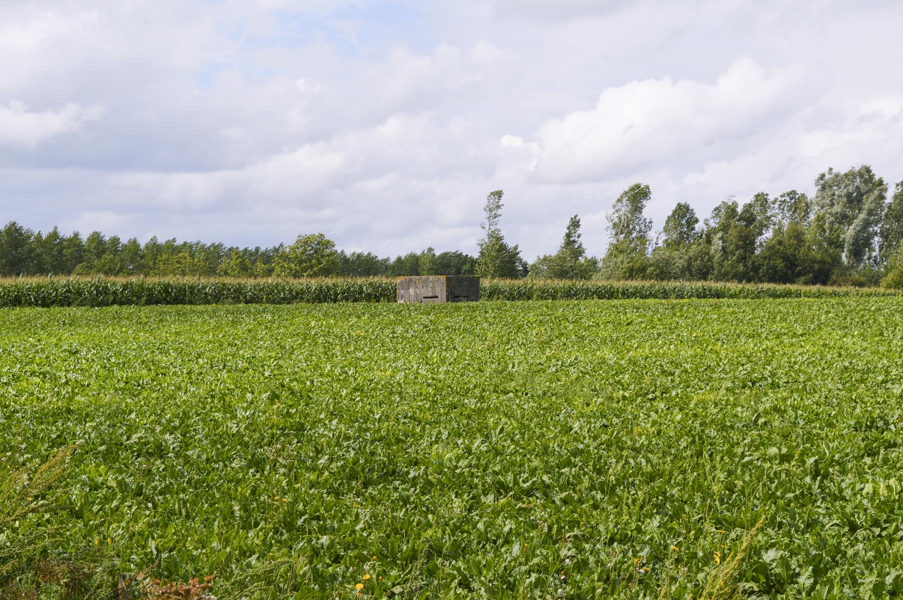 Ligne Maginot - BEF 358 - HAUT DES MARLIERES NORD 2 - (Observatoire d'infanterie) -  - ukmaginot