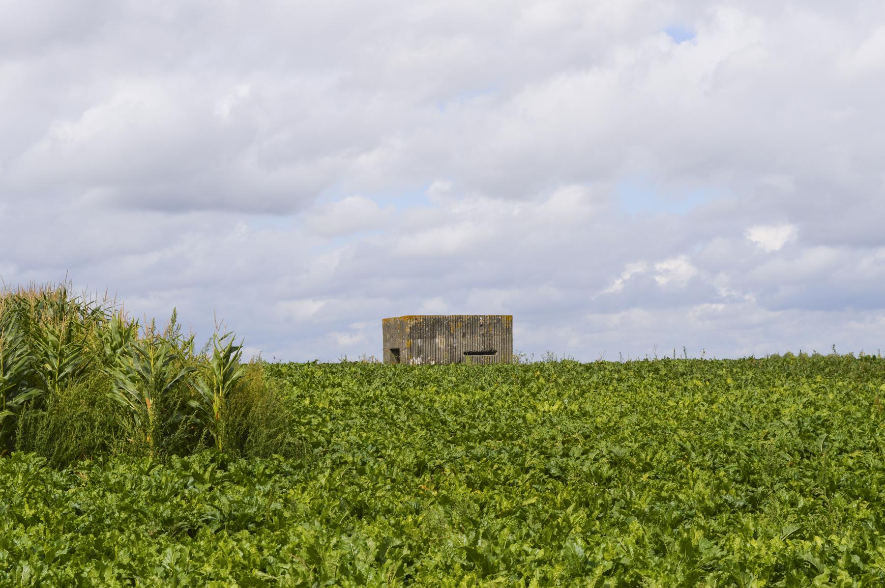 Ligne Maginot - BEF 358 - HAUT DES MARLIERES NORD 2 - (Observatoire d'infanterie) -  - ukmaginot