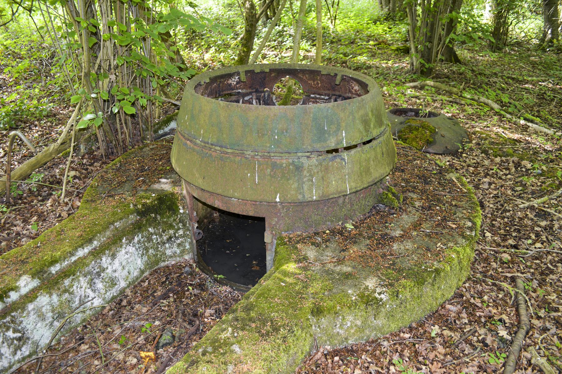 Ligne Maginot - T8 - BOIS DE LA TASSONNIERE EST (TD N° 358) - (Cuve pour arme d'infanterie) -  - ukmaginot