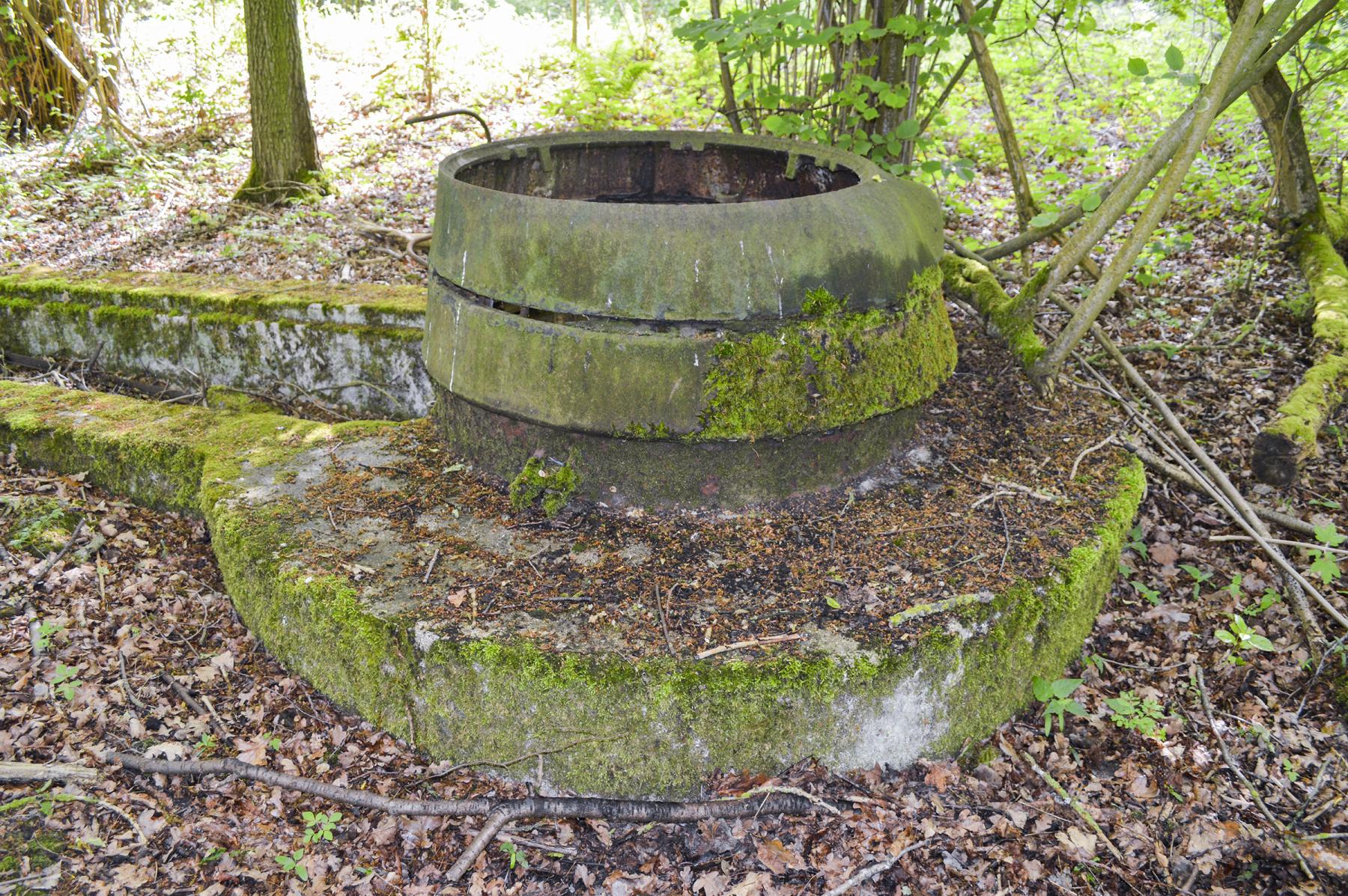 Ligne Maginot - T8 - BOIS DE LA TASSONNIERE EST (TD N° 358) - (Cuve pour arme d'infanterie) -  - ukmaginot