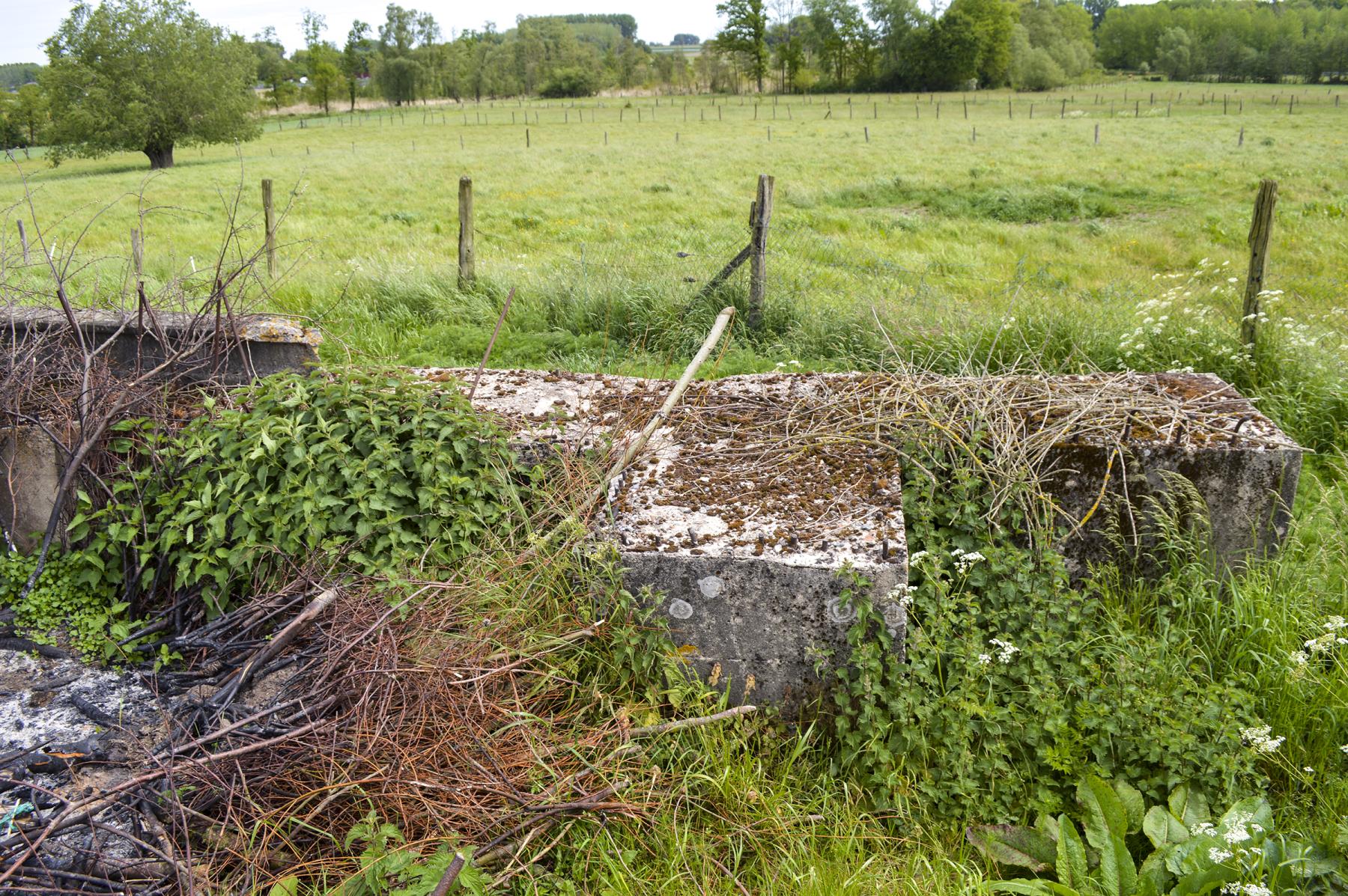 Ligne Maginot - BEF 336 - PRE DE FOURNES - (Blockhaus pour canon) -  - ukmaginot