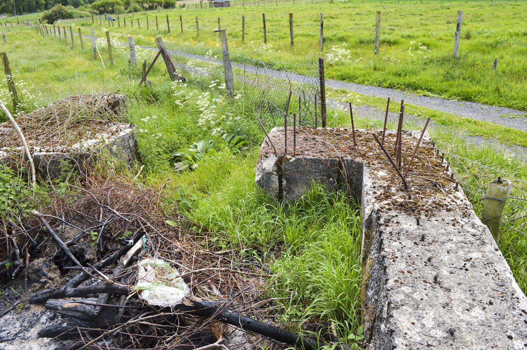Ligne Maginot - BEF 336 - PRE DE FOURNES - (Blockhaus pour canon) -  - ukmaginot