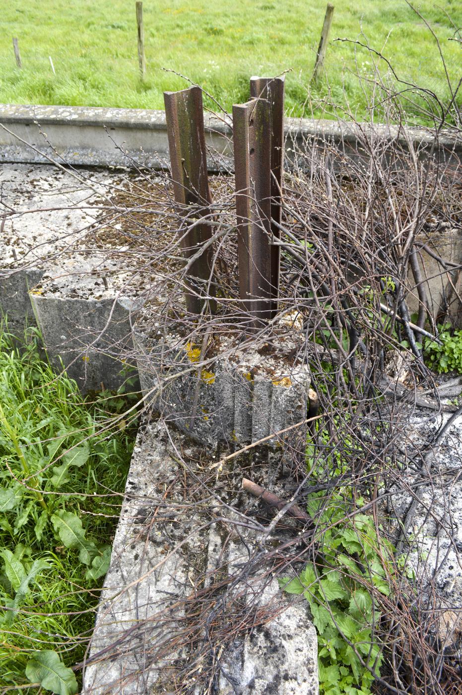 Ligne Maginot - BEF 336 - PRE DE FOURNES - (Blockhaus pour canon) -  - ukmaginot