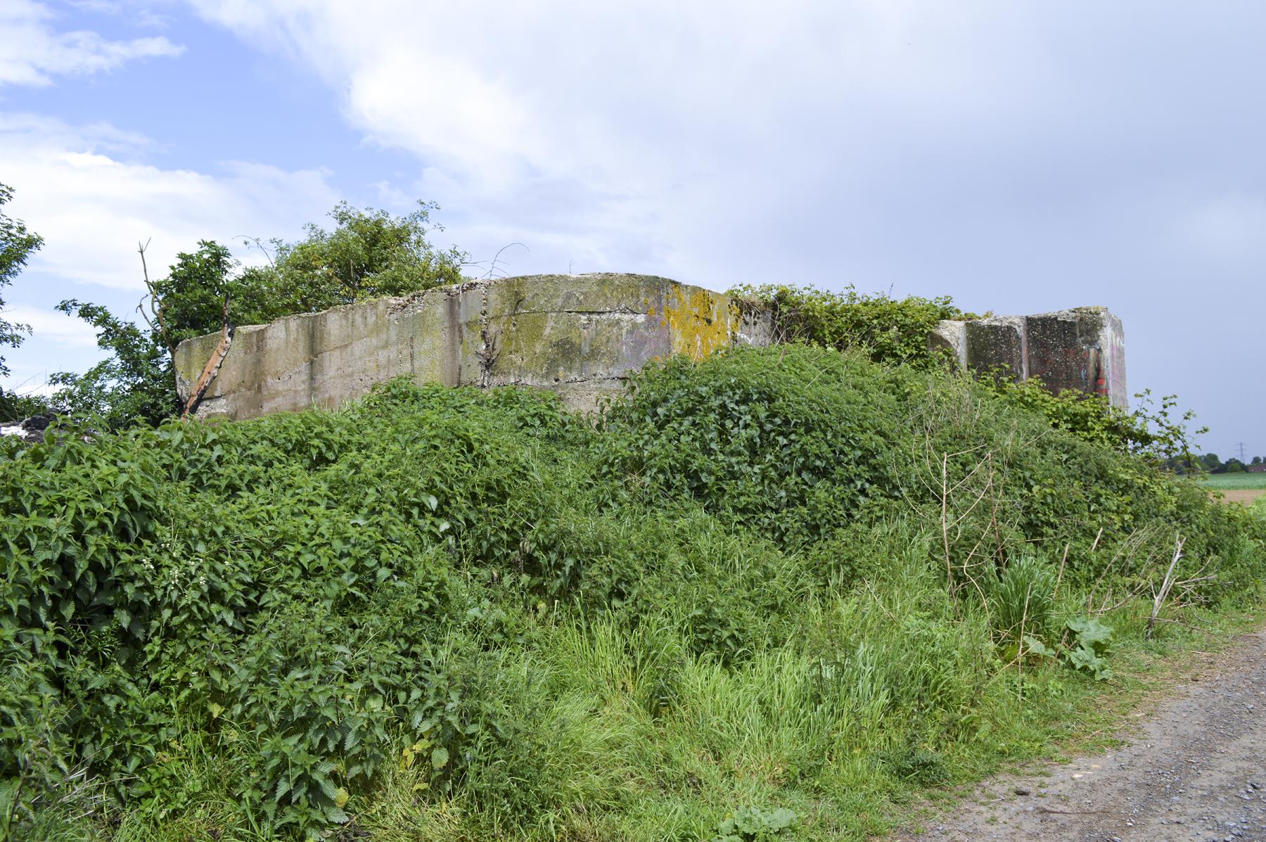 Ligne Maginot - BEF 294 - L'EPINE NORD OUEST - (Blockhaus pour canon) -  - ukmaginot
