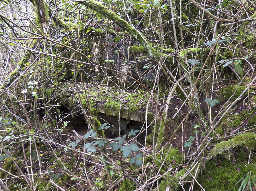 Ligne Maginot - BB1-A - LES TRIEUX NORD - (Blockhaus pour canon) - 