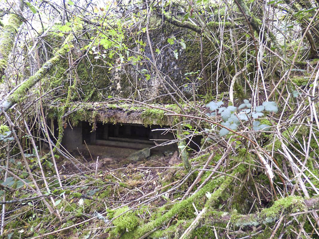 Ligne Maginot - BB1-A - LES TRIEUX NORD - (Blockhaus pour canon) - 