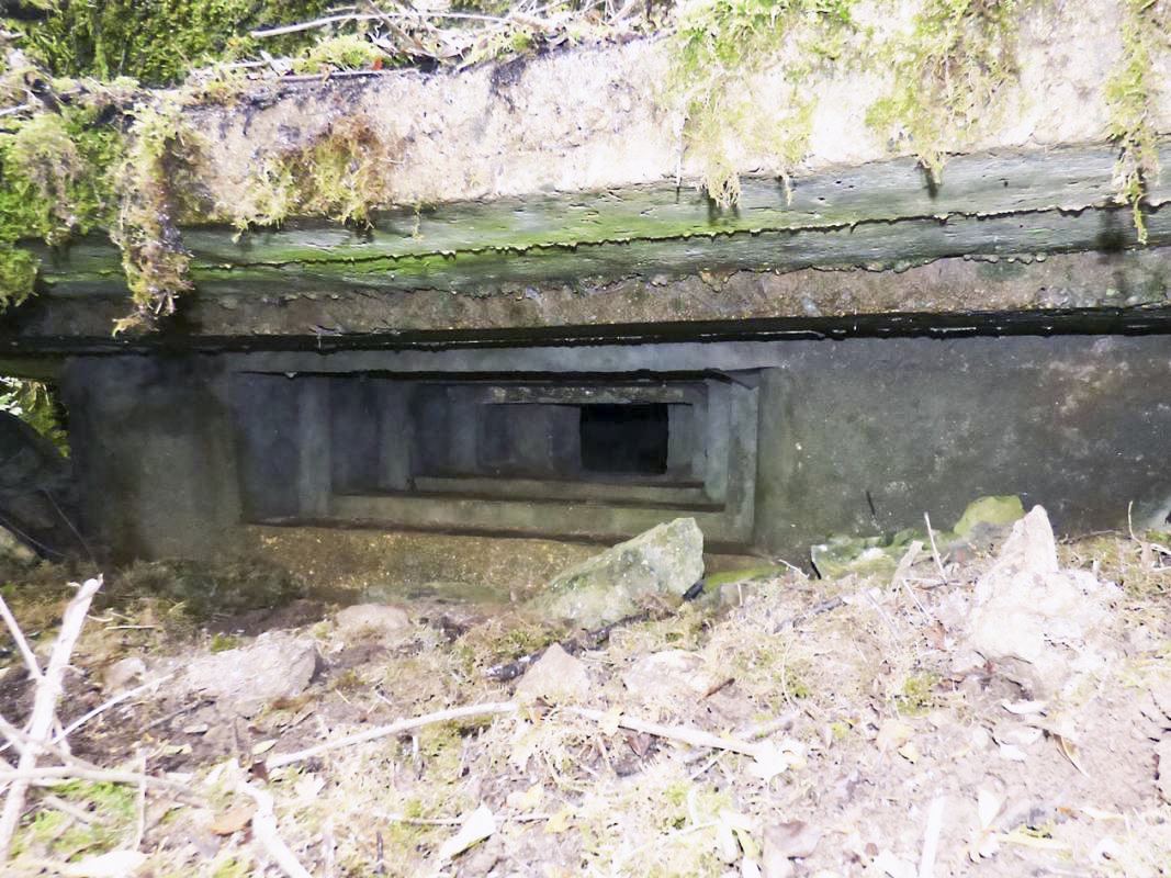 Ligne Maginot - BB1-A - LES TRIEUX NORD - (Blockhaus pour canon) - 