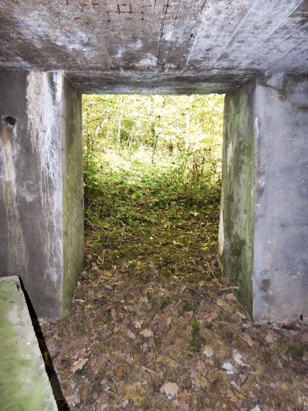 Ligne Maginot - BB2-A - LES TRIEUX SUD - (Blockhaus pour canon) -  - JMBrams