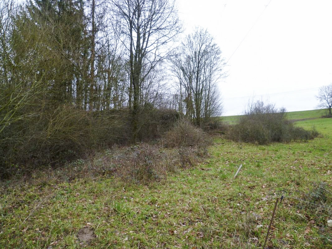 Ligne Maginot - MC11 -  AC7B  - NONNENWALD - (Casemate d'artillerie) - Vue depuis le chemin