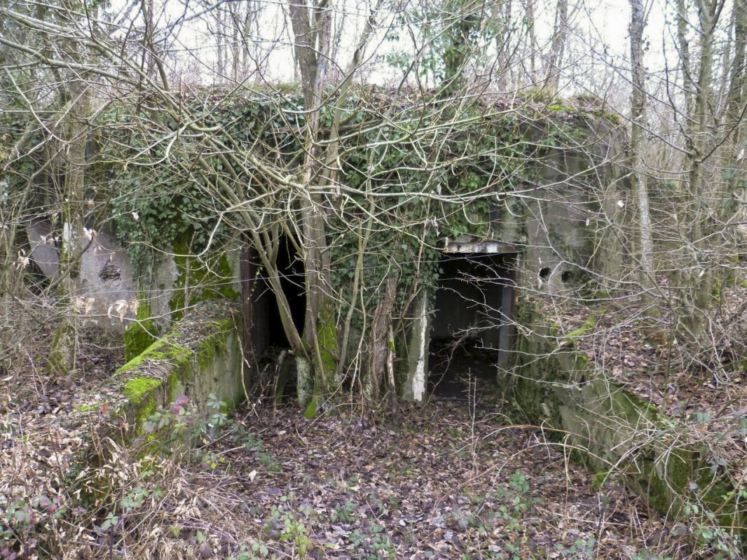 Ligne Maginot - MC11 -  AC7B  - NONNENWALD - (Casemate d'artillerie) - Les doubles portes d'entrée, a gauche pour le côté canon et le FM, a droite pour la défense arrière avec un FM.