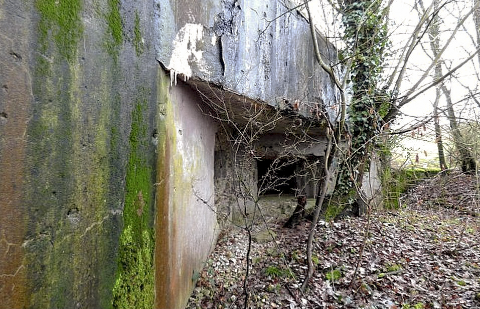 Ligne Maginot - MC11 -  AC7B  - NONNENWALD - (Casemate d'artillerie) - 