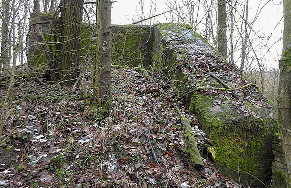 Ligne Maginot - MC11 -  AC7B  - NONNENWALD - (Casemate d'artillerie) - 