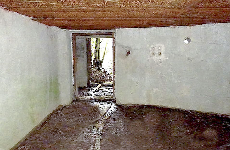 Ligne Maginot - MC11 -  AC7B  - NONNENWALD - (Casemate d'artillerie) - Restes de la circulaire