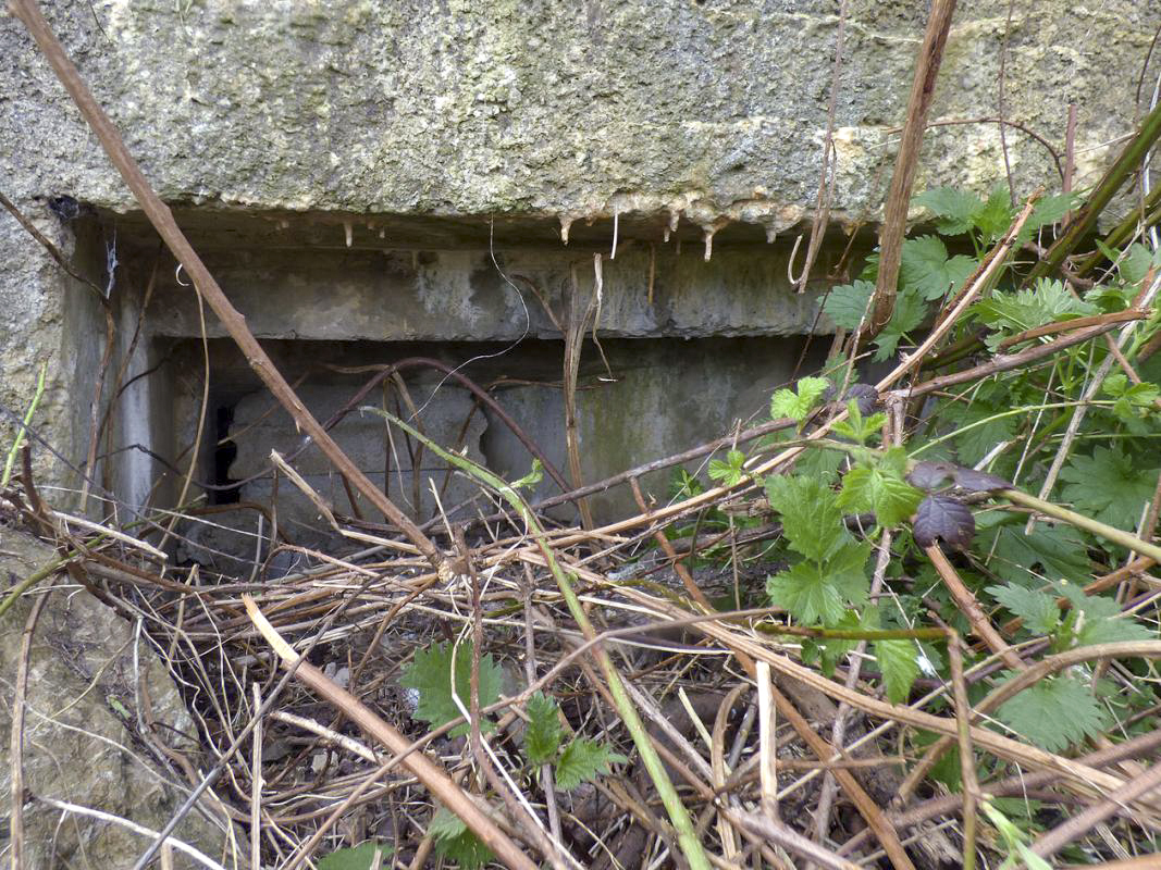 Ligne Maginot - BB14 - LES CHALETS - (Blockhaus de type indéterminé) -  - JMBrams