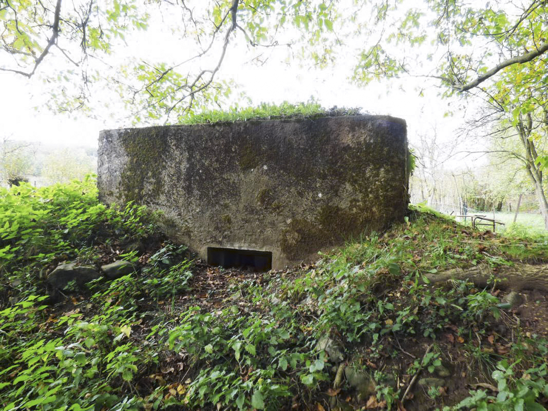 Ligne Maginot - BB15 - TRIEUX DU CHENET - (Blockhaus pour arme infanterie) -  - JMBrams