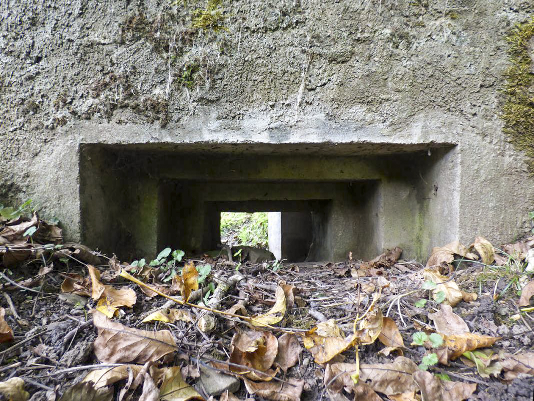 Ligne Maginot - BB15 - TRIEUX DU CHENET - (Blockhaus pour arme infanterie) -  - JMBrams