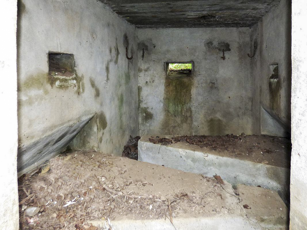 Ligne Maginot - BB15 - TRIEUX DU CHENET - (Blockhaus pour arme infanterie) -  - JMBrams