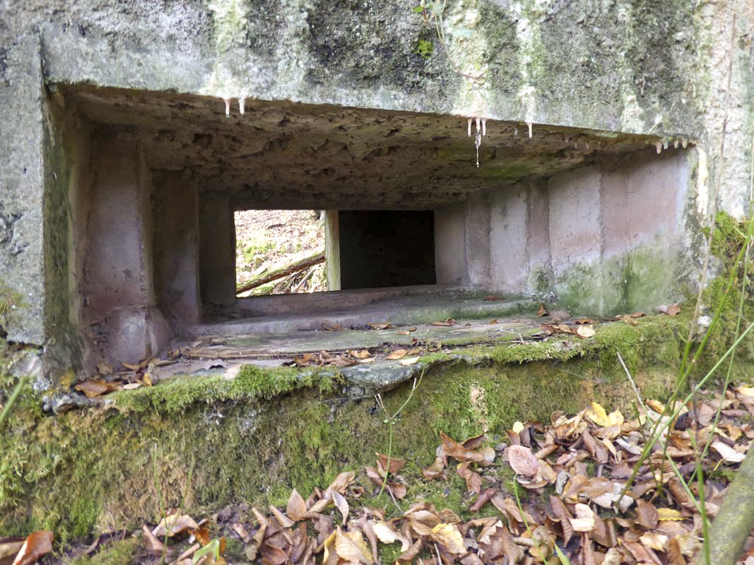 Ligne Maginot - BB22 - LA BATE NORD - (Blockhaus pour canon) - 