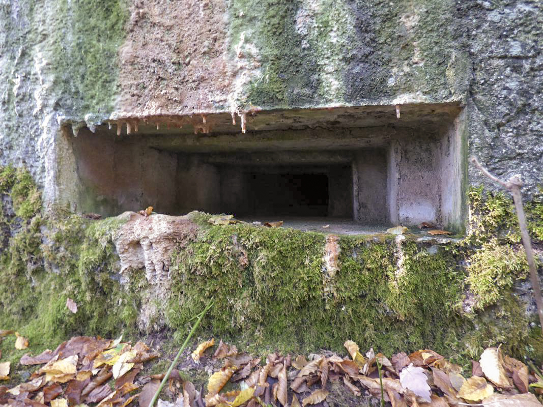Ligne Maginot - BB22 - LA BATE NORD - (Blockhaus pour canon) - 
