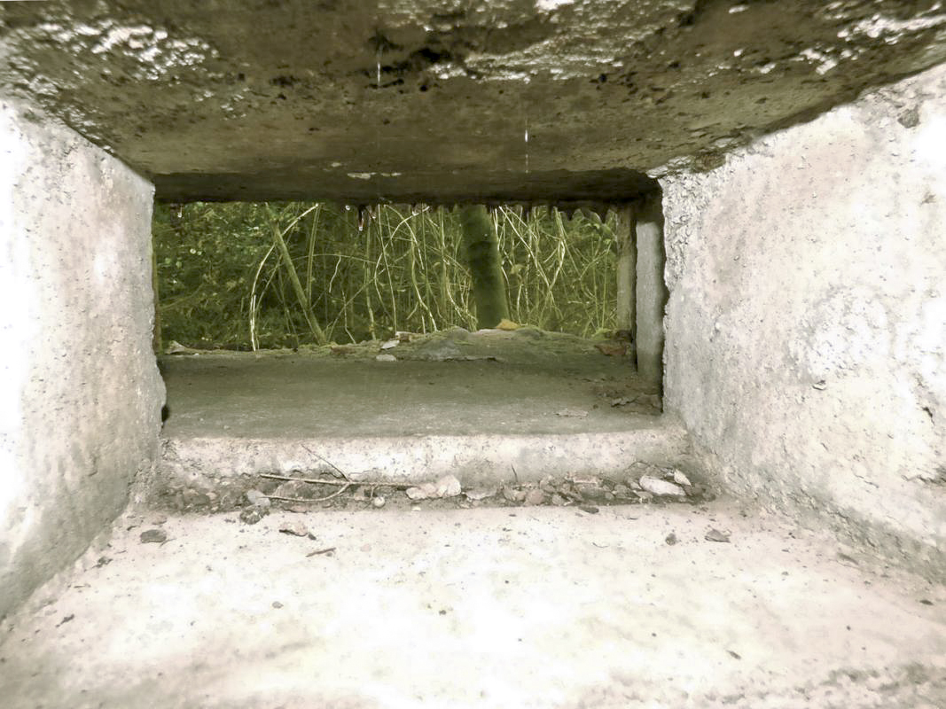 Ligne Maginot - BB22 - LA BATE NORD - (Blockhaus pour canon) - 