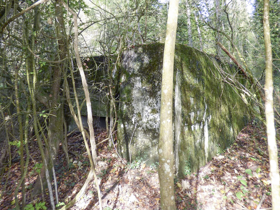 Ligne Maginot - BB25 - FOND DE CLERIVAUX - (Blockhaus pour arme infanterie) - 