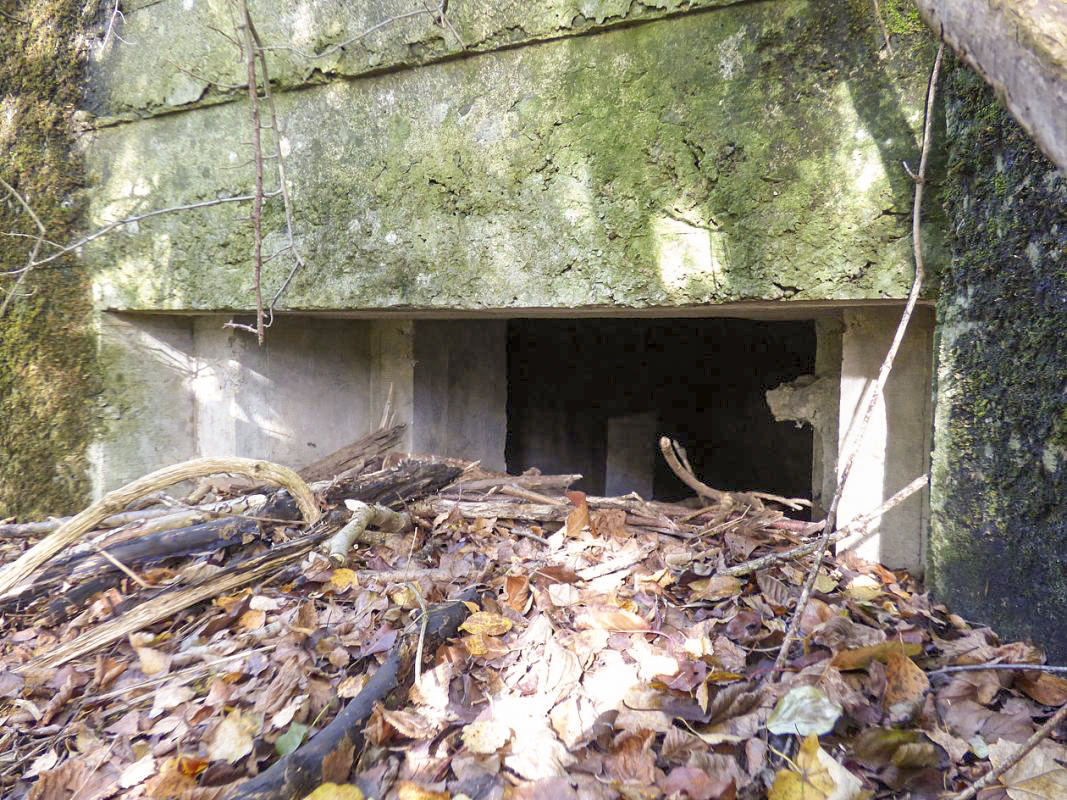 Ligne Maginot - BB25 - FOND DE CLERIVAUX - (Blockhaus pour arme infanterie) - 