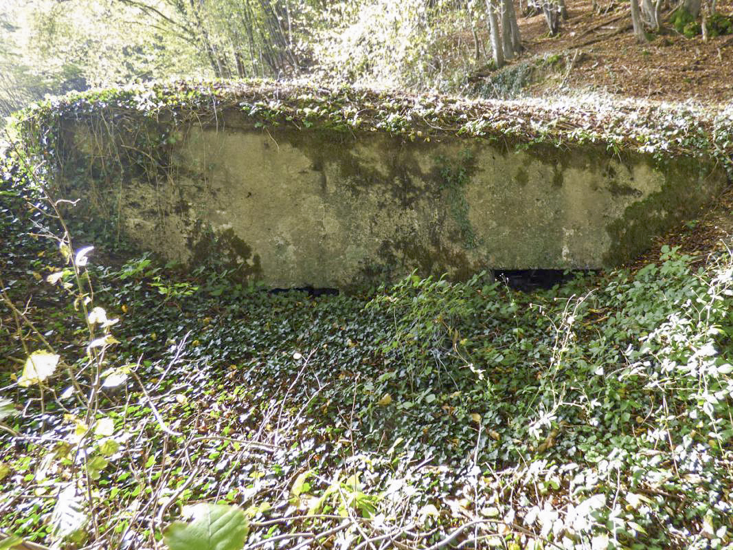 Ligne Maginot - BB26 - MONTIGNY - (Blockhaus pour canon) - 