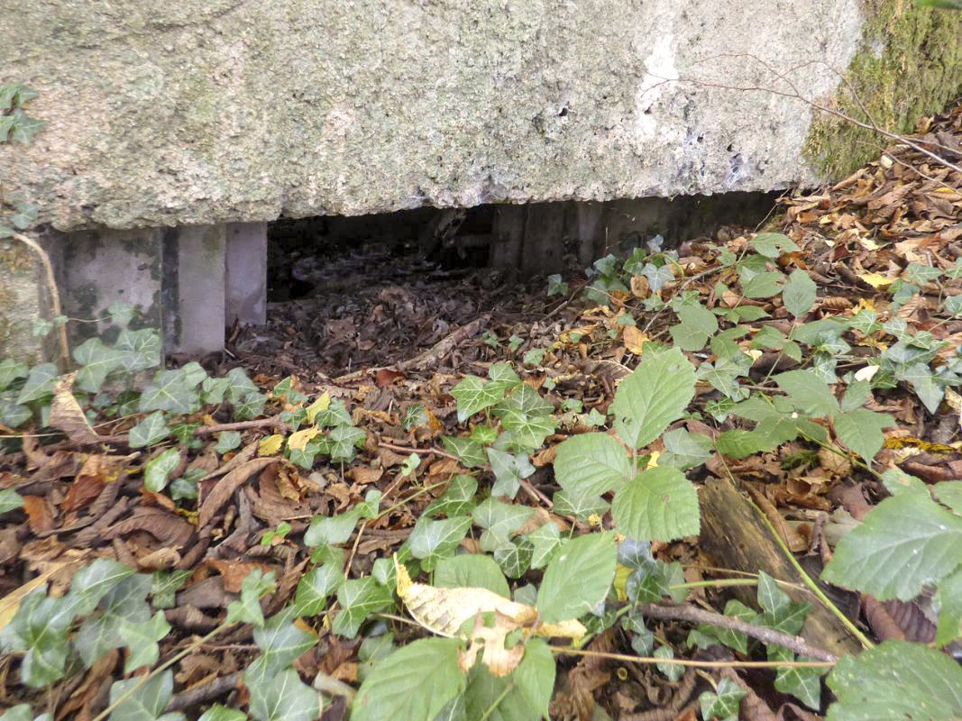 Ligne Maginot - BB26 - MONTIGNY - (Blockhaus pour canon) - 