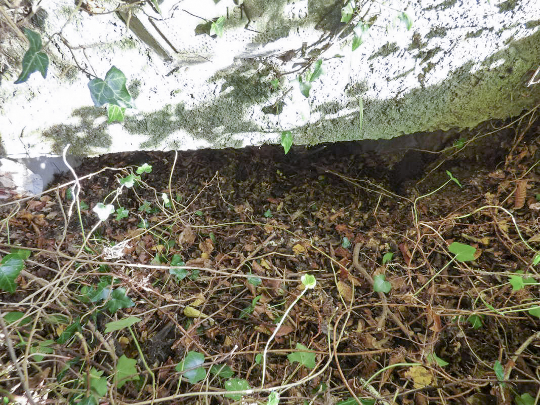 Ligne Maginot - BB26 - MONTIGNY - (Blockhaus pour canon) - Entrée.