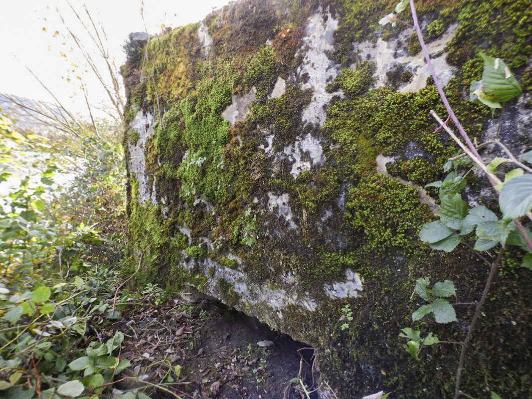 Ligne Maginot - BB27-A - FEPIN NORD - (Blockhaus pour arme infanterie) -  - JMBrams