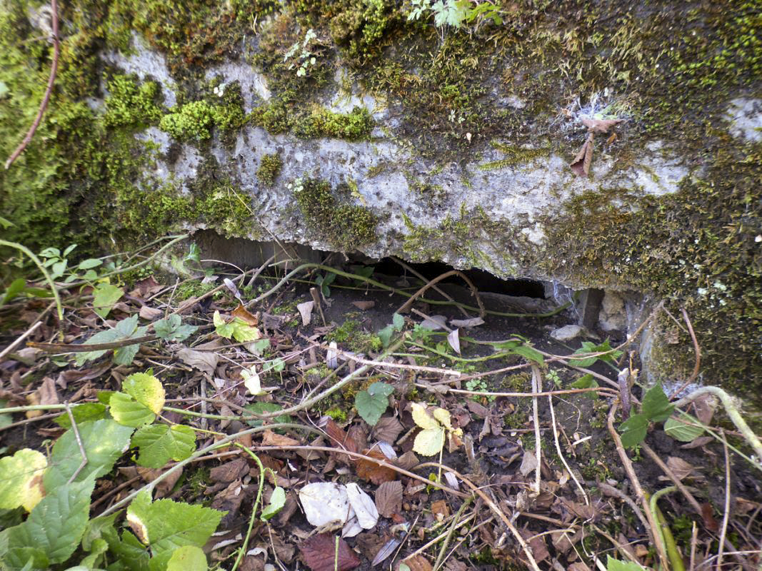 Ligne Maginot - BB27-A - FEPIN NORD - (Blockhaus pour arme infanterie) -  - JMBrams